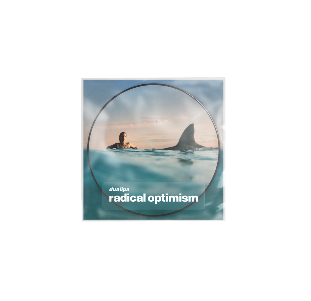 radical optimism picture disc (limited)