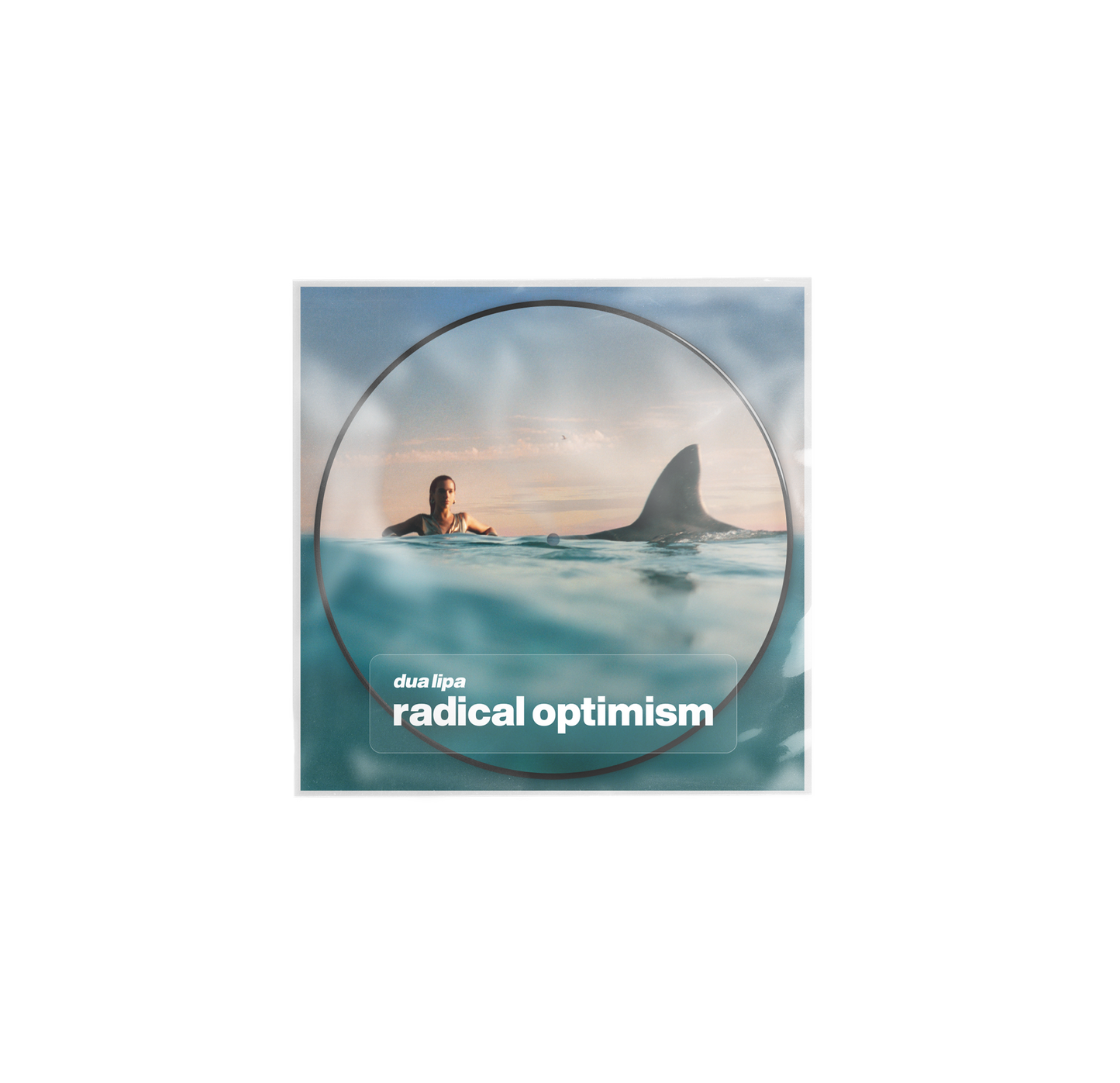 radical optimism picture disc (limited)
