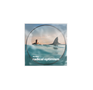 radical optimism picture disc (limited)