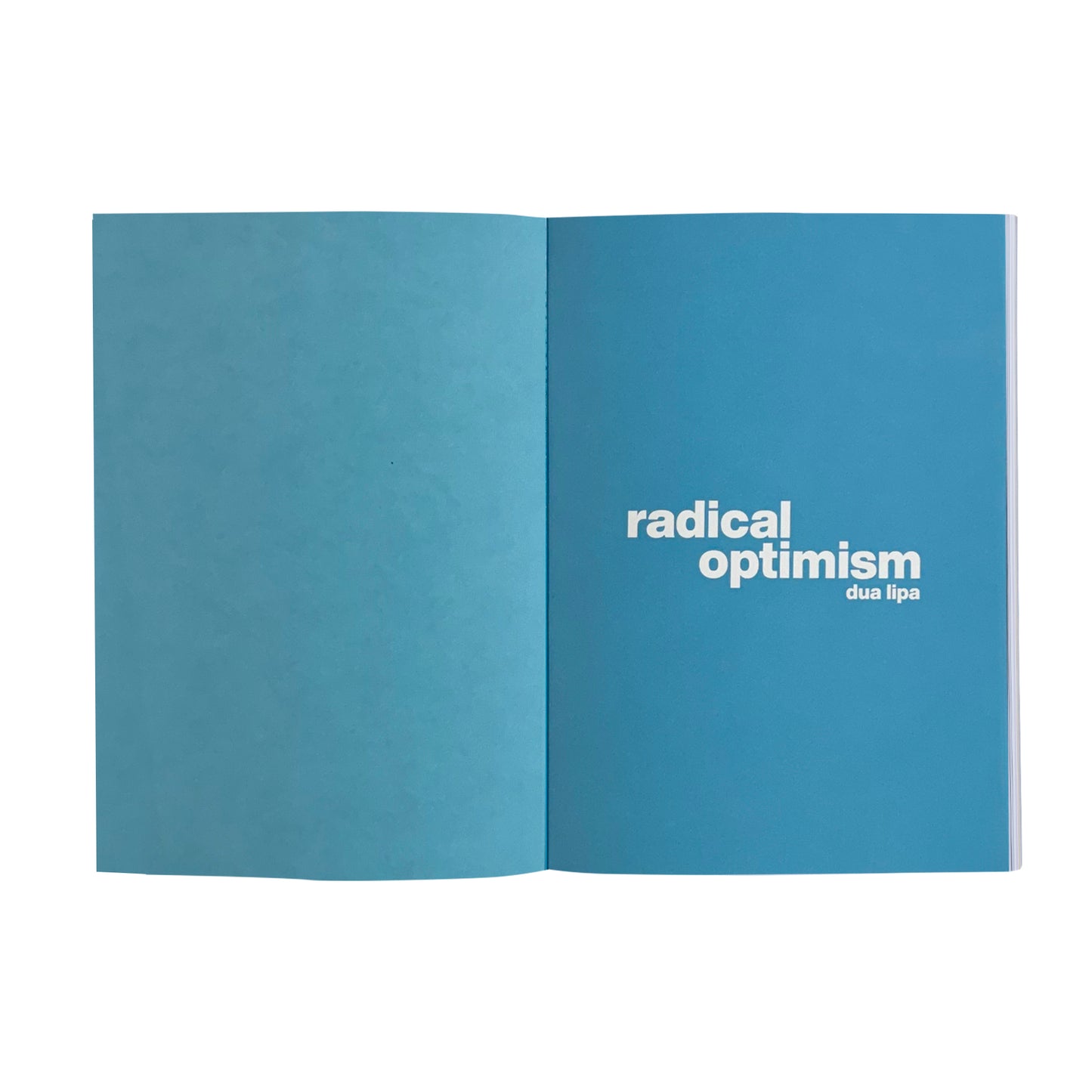 radical optimism handwritten album notebook (signed art card included)
