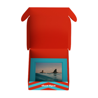 radical optimism exclusive boxset (navy) signed art card included